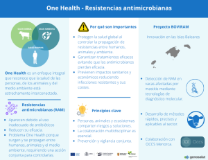 Infografía sobre One Health y las resistencias antimicrobianas, con claves del enfoque, causas de la RAM y resumen del proyecto BOVIRAM en las Islas Baleares.